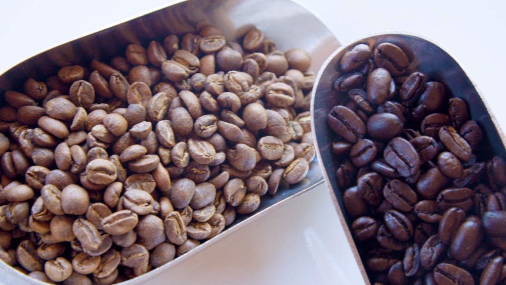 organigramme du processus de torréfaction du café