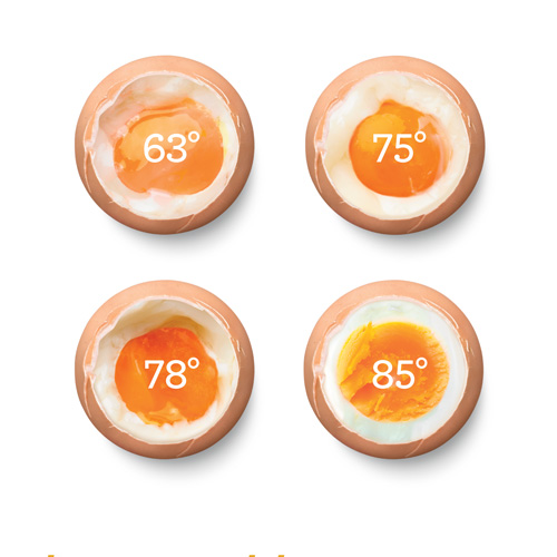 the One° Precision Poacher™ in Brushed Stainless Steel texture settings