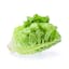 baby romaine lettuce icon