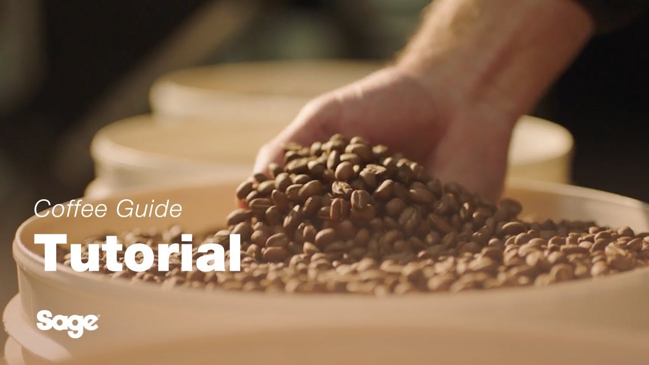 Breville coffee guide tutorial - Choosing the right beans
