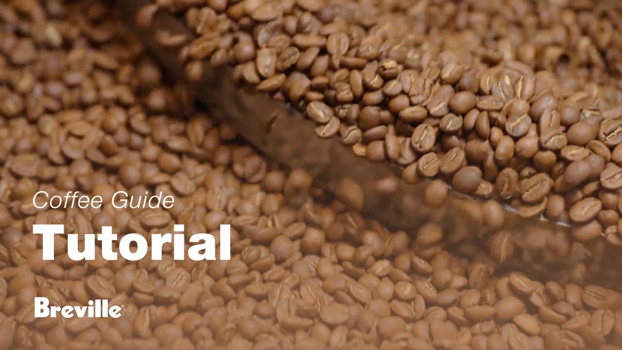 Breville coffee guide tutorial - Choosing the right beans 