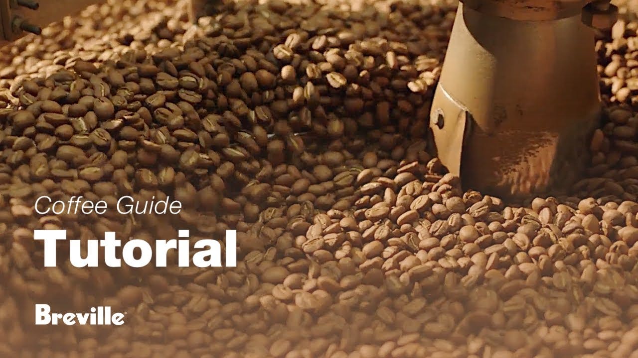 Breville coffee guide tutorial - Choosing the right beans 