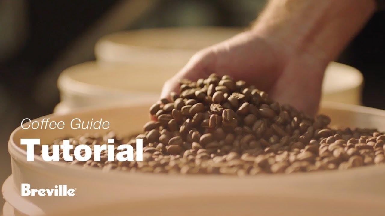 Breville coffee guide tutorial - Choosing the right beans