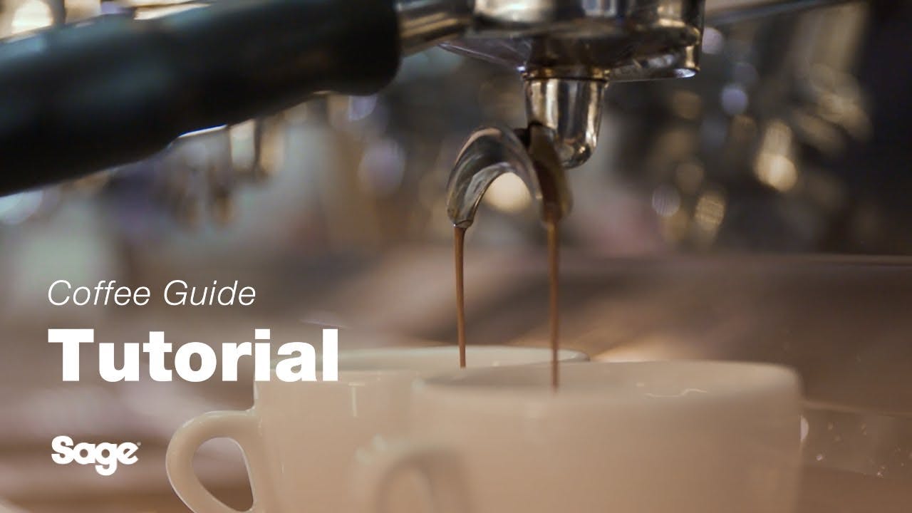 Breville coffee guide tutorial - Balancing your extraction