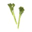 bunch broccolini icon