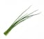thinly sliced chives icon