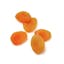 dried apricot icon