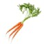 bunch baby carrots icon