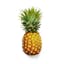 small underripe pineapple icon