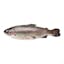 whole trout (approximately 1 lb) icon