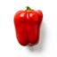 large red bell pepper icon