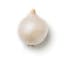white onion icon