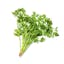 cilantro leaves icon