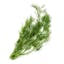 firmly packed dill sprigs icon