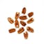 toasted chopped pecans icon