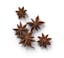 star anise icon