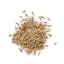 caraway seeds icon