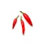small hot red chili peppers icon