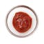 tomato paste icon