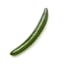 small seedless English cucumber icon