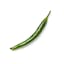 Thai green chilies icon