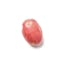 small red or yellow skin potatoes icon