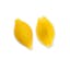 pasta shells icon