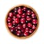 bag fresh cranberries icon