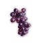 seedless purple grapes icon