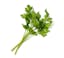 chopped flat-leaf parsley icon