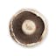 Portobello mushroom cap icon