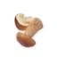 dried porcini mushrooms icon