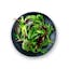 green salad icon