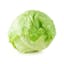 head iceberg lettuce icon
