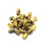 shelled pistachio icon