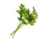 loosely packed Italian parsley leaves icon