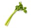 celery stalk icon