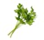 lightly packed Italian parsley leaves icon