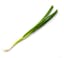 thinly sliced green onion icon