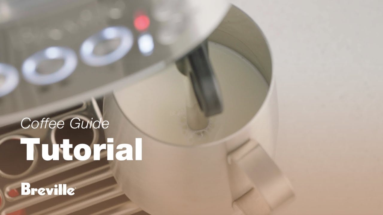 Breville coffee guide tutorial - How to automatically texture microfoam milk